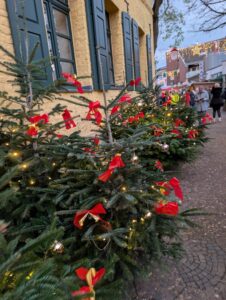 mehrere mit roten schleifen und Lichterketten geschmückte kleine Weihnachtsbäume in der Fußgängerzone